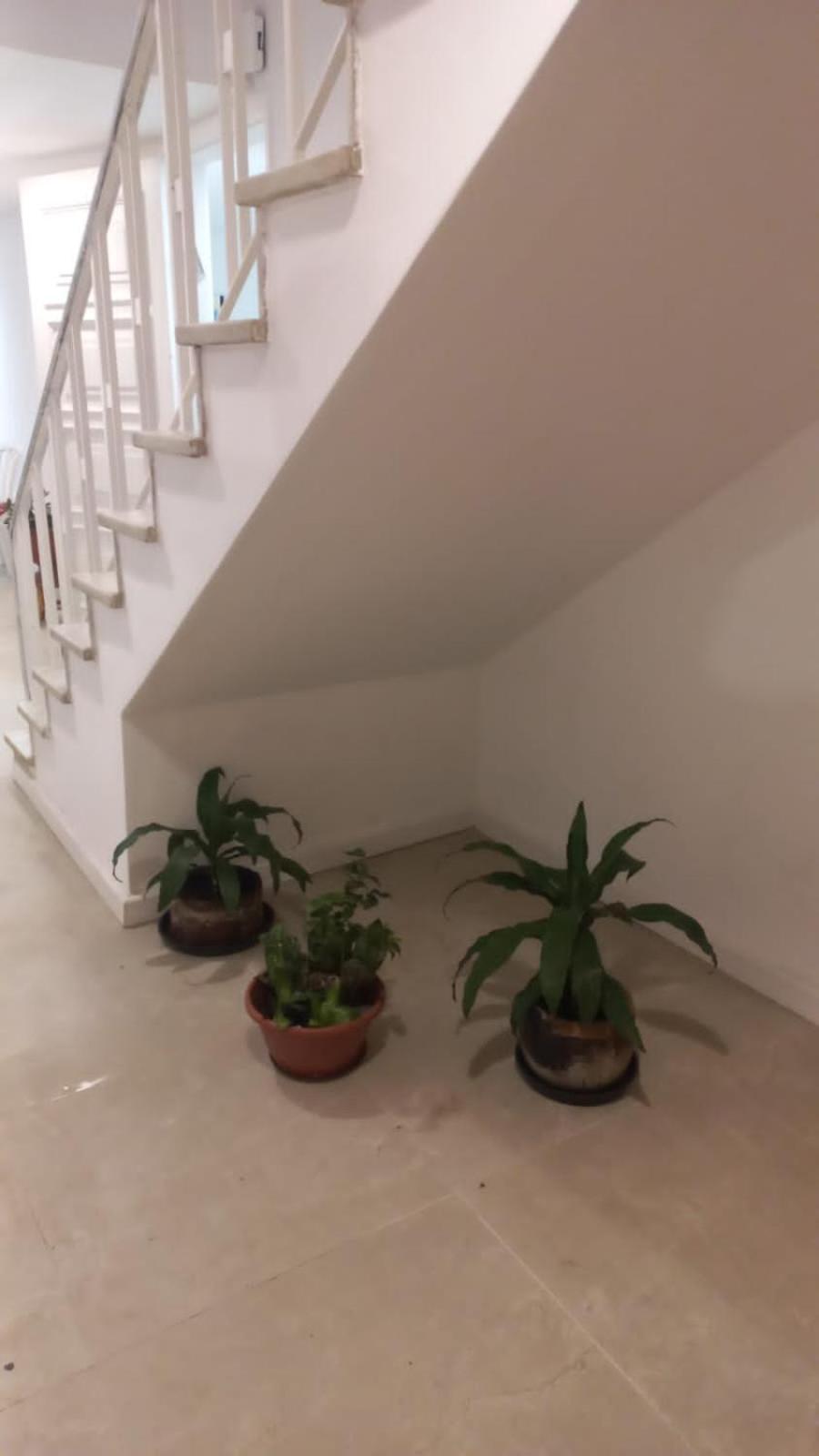 Espaco Semente Poa Lirio Porto Alegre Exteriér fotografie